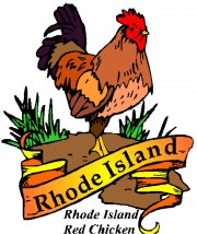 Rhode Island Red Chicken